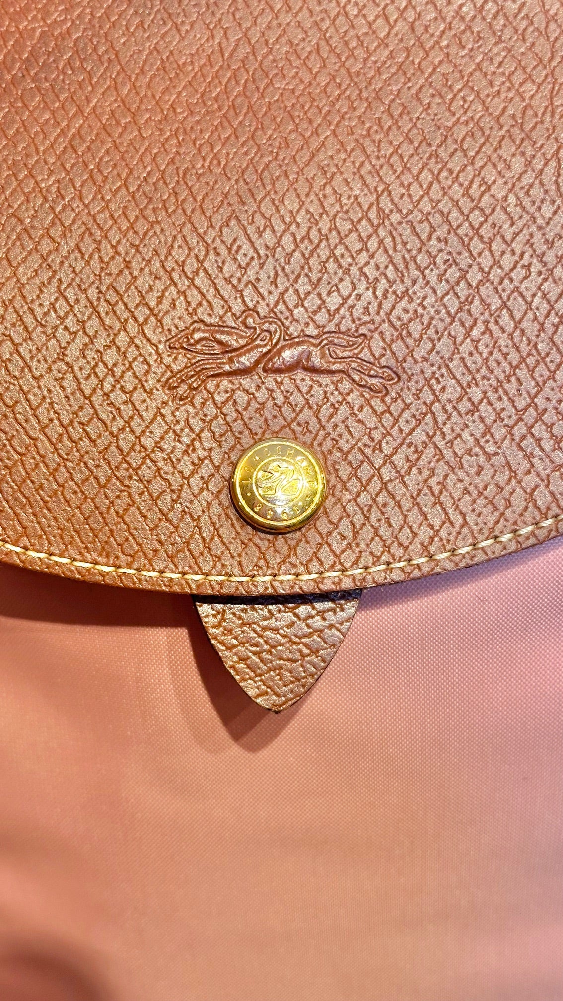 Longchamp - Peach Backpack